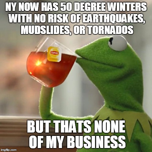 But That's None Of My Business Meme | NY NOW HAS 50 DEGREE WINTERS WITH NO RISK OF EARTHQUAKES, MUDSLIDES, OR TORNADOS BUT THATS NONE OF MY BUSINESS | image tagged in memes,but thats none of my business,kermit the frog | made w/ Imgflip meme maker