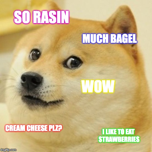 Doge Meme | SO RASIN MUCH BAGEL WOW CREAM CHEESE PLZ? I LIKE TO EAT STRAWBERRIES | image tagged in memes,doge | made w/ Imgflip meme maker