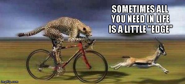 What would you say if you saw an animal using technology...? | SOMETIMES ALL YOU NEED IN LIFE IS A LITTLE "EDGE" | image tagged in cheetah on bike,cheetah,funny animals,memes,funny | made w/ Imgflip meme maker