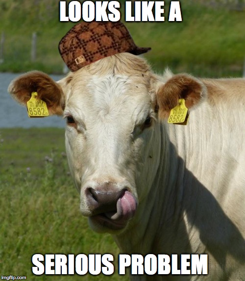 LOOKS LIKE A SERIOUS PROBLEM | image tagged in scumbag | made w/ Imgflip meme maker