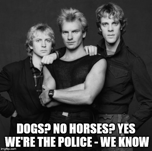 the police | DOGS? NO HORSES? YES WE'RE THE POLICE - WE KNOW | image tagged in the police | made w/ Imgflip meme maker