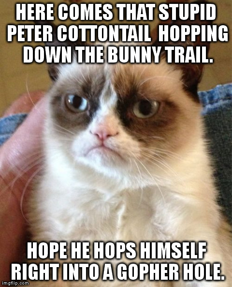 Grumpy Cat Meme | HERE COMES THAT STUPID PETER COTTONTAIL  HOPPING DOWN THE BUNNY TRAIL. HOPE HE HOPS HIMSELF RIGHT INTO A GOPHER HOLE. | image tagged in memes,grumpy cat | made w/ Imgflip meme maker