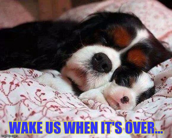 WAKE US WHEN IT'S OVER... | image tagged in bored | made w/ Imgflip meme maker