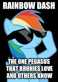 Rainbow Dash (glasses) | RAINBOW DASH THE ONE PEGASUS THAT BRONIES LOVE AND OTHERS KNOW | image tagged in rainbow dash glasses | made w/ Imgflip meme maker