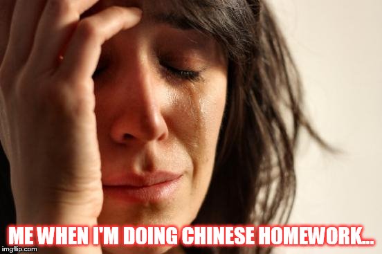 When I'm doing my Chinese homework and I get oh so frustrated | ME WHEN I'M DOING CHINESE HOMEWORK... | image tagged in memes,first world problems | made w/ Imgflip meme maker