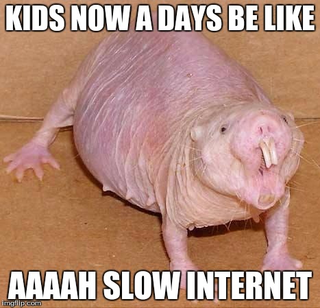 Mole | KIDS NOW A DAYS BE LIKE AAAAH SLOW INTERNET | image tagged in naked mole rat | made w/ Imgflip meme maker