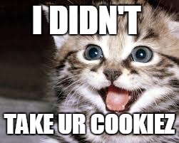 I DIDN'T TAKE UR COOKIEZ | image tagged in cats | made w/ Imgflip meme maker