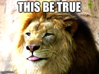 THIS BE TRUE | image tagged in lion | made w/ Imgflip meme maker