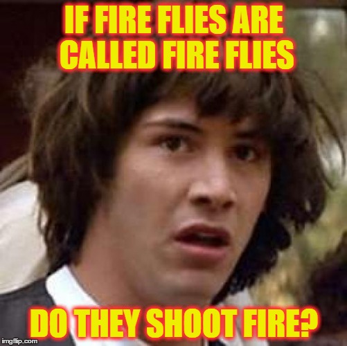 Conspiracy Keanu Meme | IF FIRE FLIES ARE CALLED FIRE FLIES DO THEY SHOOT FIRE? | image tagged in memes,conspiracy keanu | made w/ Imgflip meme maker