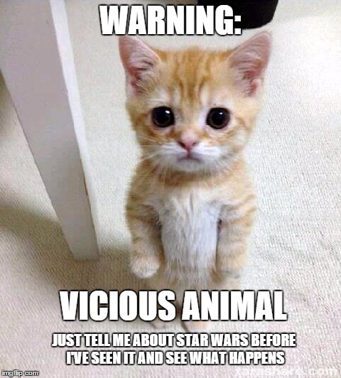3 weeks before I'll have a chance to see it has left me unable to use the internet or talk to people | WARNING: VICIOUS ANIMAL JUST TELL ME ABOUT STAR WARS BEFORE I'VE SEEN IT AND SEE WHAT HAPPENS | image tagged in memes,cute cat | made w/ Imgflip meme maker
