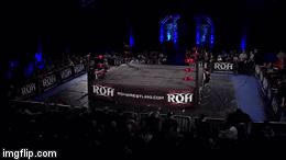Better man (Royal Rumble 2015 - IWC) W0fhp