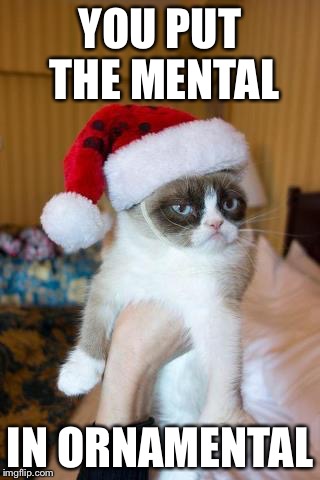 Grumpy Cat Christmas | YOU PUT THE MENTAL IN ORNAMENTAL | image tagged in memes,grumpy cat christmas,grumpy cat | made w/ Imgflip meme maker