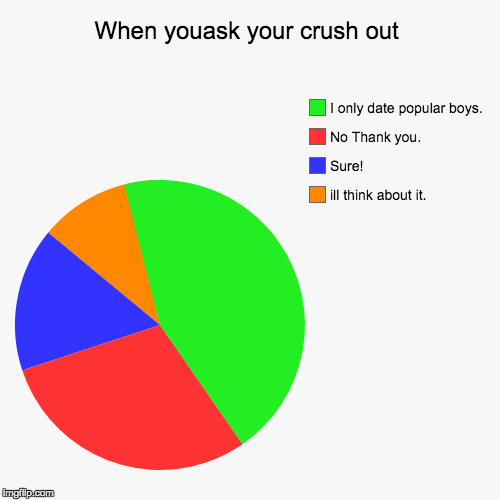 when you ask your crush out... | image tagged in funny,pie charts | made w/ Imgflip chart maker