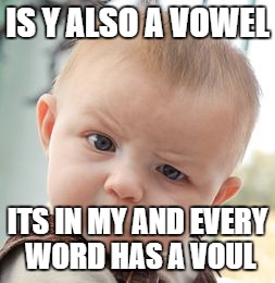 Skeptical Baby Meme | IS Y ALSO A VOWEL ITS IN MY AND EVERY WORD HAS A VOUL | image tagged in memes,skeptical baby | made w/ Imgflip meme maker