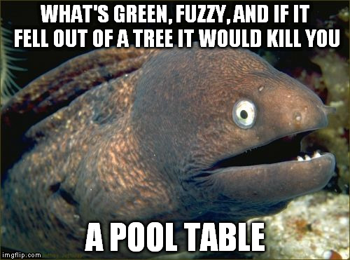This one left me scratching my head | WHAT'S GREEN, FUZZY, AND IF IT FELL OUT OF A TREE IT WOULD KILL YOU A POOL TABLE | image tagged in memes,bad joke eel,things that are true,you're playing a deadly game | made w/ Imgflip meme maker