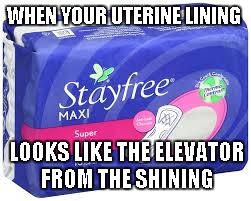 WHEN YOUR UTERINE LINING LOOKS LIKE THE ELEVATOR FROM THE SHINING | image tagged in the shining,period | made w/ Imgflip meme maker