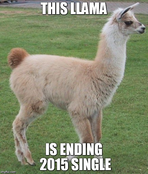 THIS LLAMA IS ENDING 2015 SINGLE | image tagged in single llama of 2015 | made w/ Imgflip meme maker