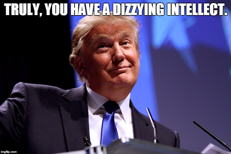 Donald Trump No2 | TRULY, YOU HAVE A DIZZYING INTELLECT. | image tagged in donald trump no2 | made w/ Imgflip meme maker