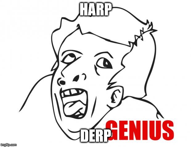 Genius | HARP DERP | image tagged in genius | made w/ Imgflip meme maker