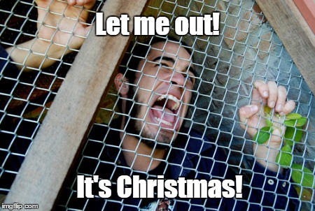 Caged man | Let me out! It's Christmas! | image tagged in christmas | made w/ Imgflip meme maker