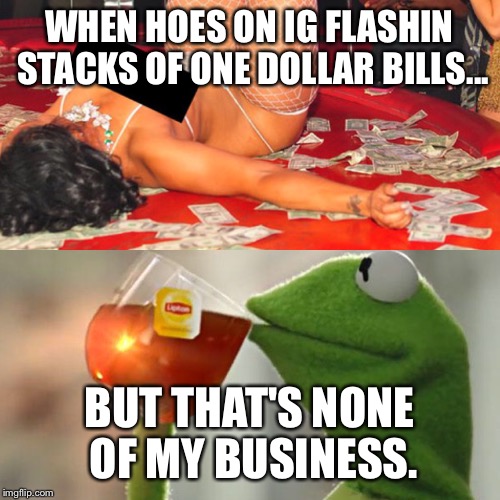 WHEN HOES ON IG FLASHIN STACKS OF ONE DOLLAR BILLS... BUT THAT'S NONE OF MY BUSINESS. | image tagged in hoe,kermit the frog,bitch please,slut,funny,memes | made w/ Imgflip meme maker