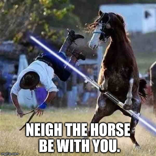 Neigh The Horse Be With You. | NEIGH THE HORSE BE WITH YOU. | image tagged in star wars,jedi,lightsabre,horse,star wars quotes,neigh the horse be with you | made w/ Imgflip meme maker