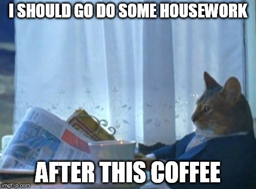 Just not feeling it | I SHOULD GO DO SOME HOUSEWORK AFTER THIS COFFEE | image tagged in memes,i should buy a boat cat,boredom,procrastination | made w/ Imgflip meme maker
