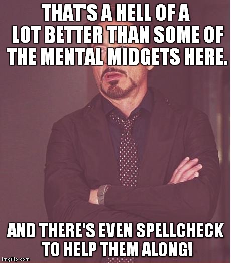 Face You Make Robert Downey Jr Meme | THAT'S A HELL OF A LOT BETTER THAN SOME OF THE MENTAL MIDGETS HERE. AND THERE'S EVEN SPELLCHECK TO HELP THEM ALONG! | image tagged in memes,face you make robert downey jr | made w/ Imgflip meme maker