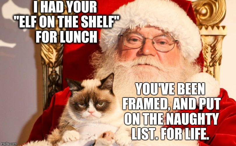 You're welcome | I HAD YOUR "ELF ON THE SHELF" FOR LUNCH YOU'VE BEEN FRAMED, AND PUT ON THE NAUGHTY LIST. FOR LIFE. | image tagged in grumpy cat,santa clause,elf | made w/ Imgflip meme maker