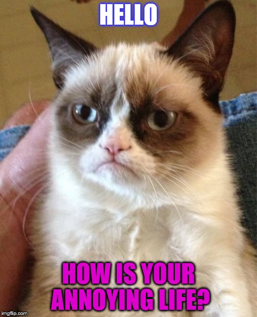 Grumpy Cat Meme | HELLO HOW IS YOUR ANNOYING LIFE? | image tagged in memes,grumpy cat | made w/ Imgflip meme maker