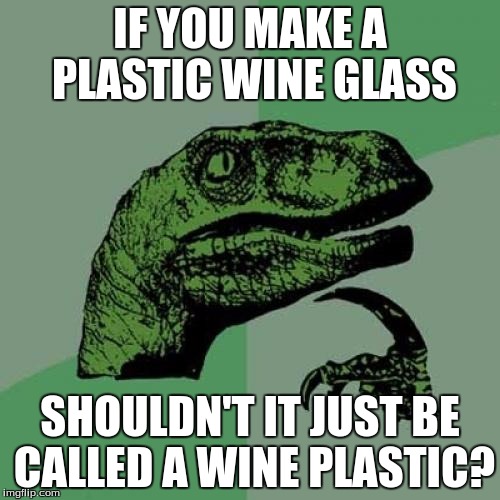 Philosoraptor | IF YOU MAKE A PLASTIC WINE GLASS SHOULDN'T IT JUST BE CALLED A WINE PLASTIC? | image tagged in memes,philosoraptor | made w/ Imgflip meme maker