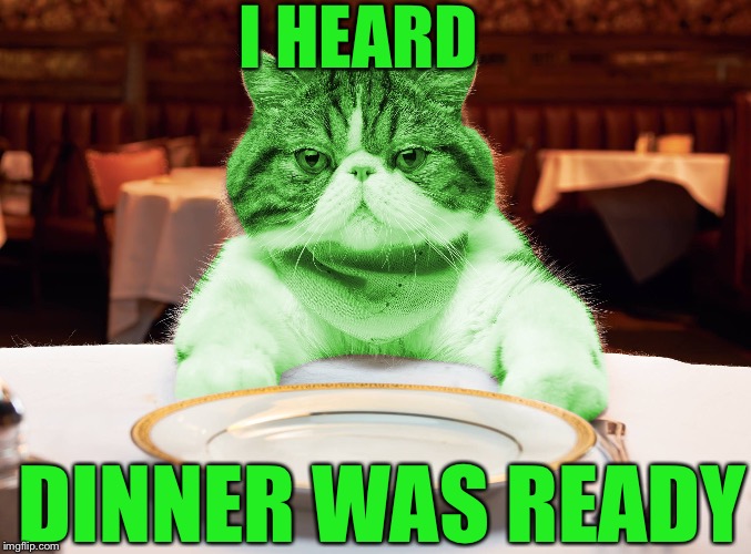 RayCat's hungry | I HEARD DINNER WAS READY | image tagged in raycat hungry,memes | made w/ Imgflip meme maker