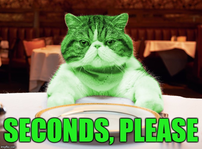 RayCat Hungry | SECONDS, PLEASE | image tagged in raycat hungry | made w/ Imgflip meme maker