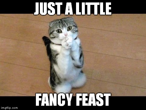 JUST A LITTLE FANCY FEAST | made w/ Imgflip meme maker