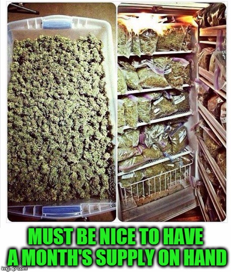 Must be nice to have enough for a month | MUST BE NICE TO HAVE A MONTH'S SUPPLY ON HAND | image tagged in marijuana,weed,funny meme,meme | made w/ Imgflip meme maker