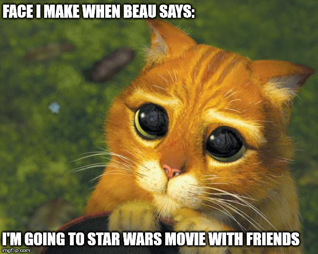 puss in boots | FACE I MAKE WHEN BEAU SAYS: I'M GOING TO STAR WARS MOVIE WITH FRIENDS | image tagged in puss in boots | made w/ Imgflip meme maker