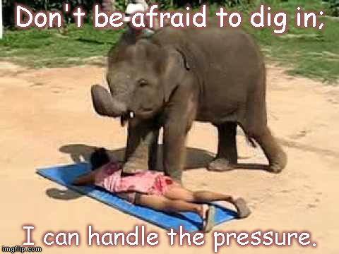 Are you sure? | Don't be afraid to dig in; I can handle the pressure. | image tagged in animals,wildlife,elephant,massage,beach | made w/ Imgflip meme maker