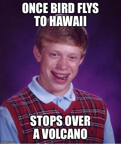 Bad Luck Brian Meme | ONCE BIRD FLYS TO HAWAII STOPS OVER A VOLCANO | image tagged in memes,bad luck brian | made w/ Imgflip meme maker