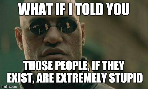 Matrix Morpheus Meme | WHAT IF I TOLD YOU THOSE PEOPLE, IF THEY EXIST, ARE EXTREMELY STUPID | image tagged in memes,matrix morpheus | made w/ Imgflip meme maker