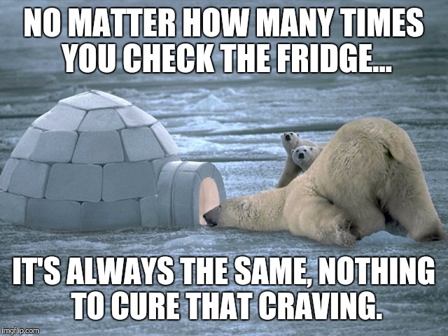 How many times a day do you check the fridge? | NO MATTER HOW MANY TIMES YOU CHECK THE FRIDGE... IT'S ALWAYS THE SAME, NOTHING TO CURE THAT CRAVING. | image tagged in memes,polar bear | made w/ Imgflip meme maker