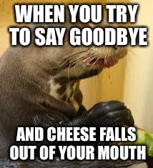 Disgusted Otter | WHEN YOU TRY TO SAY GOODBYE AND CHEESE FALLS OUT OF YOUR MOUTH | image tagged in disgusted otter | made w/ Imgflip meme maker