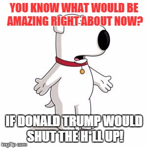 Family Guy Brian | YOU KNOW WHAT WOULD BE AMAZING RIGHT ABOUT NOW? IF DONALD TRUMP WOULD SHUT THE H*LL UP! | image tagged in memes,family guy brian | made w/ Imgflip meme maker