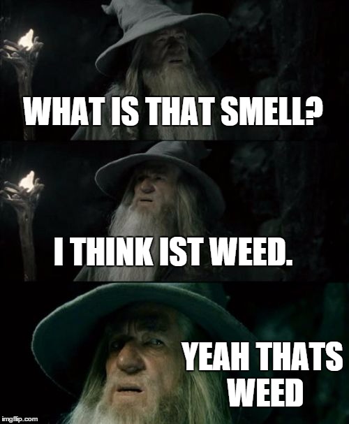 Confused Gandalf | WHAT IS THAT SMELL? I THINK IST WEED. YEAH THATS WEED | image tagged in memes,confused gandalf | made w/ Imgflip meme maker