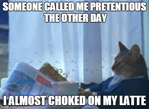 I Should Buy A Boat Cat Meme | SOMEONE CALLED ME PRETENTIOUS THE OTHER DAY I ALMOST CHOKED ON MY LATTE | image tagged in memes,i should buy a boat cat | made w/ Imgflip meme maker