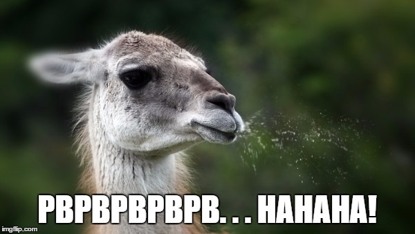 Funny spitting llama | PBPBPBPBPB. . . HAHAHA! | image tagged in funny spitting llama | made w/ Imgflip meme maker