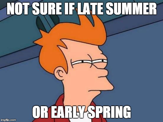 it is actually 13 degrees celcius outside | NOT SURE IF LATE SUMMER OR EARLY SPRING | image tagged in memes,futurama fry | made w/ Imgflip meme maker