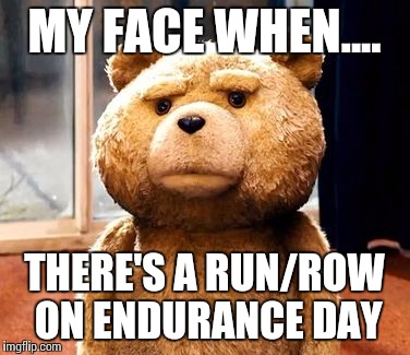 TED | MY FACE WHEN.... THERE'S A RUN/ROW ON ENDURANCE DAY | image tagged in memes,ted | made w/ Imgflip meme maker