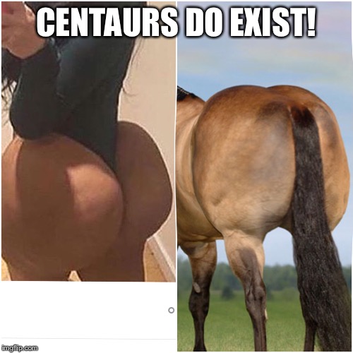 CENTAURS DO EXIST! | image tagged in centaur,booty,fake,funny,memes,hoe | made w/ Imgflip meme maker