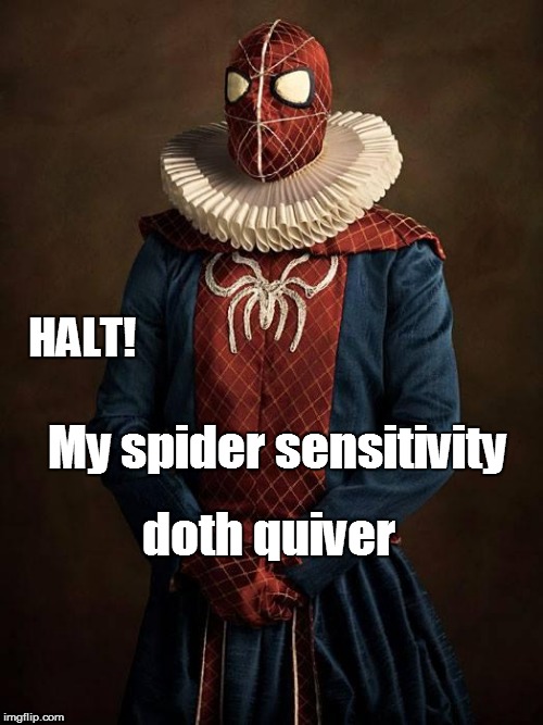 Tudor Spiderman | HALT! My spider sensitivity doth quiver | image tagged in spiderman | made w/ Imgflip meme maker