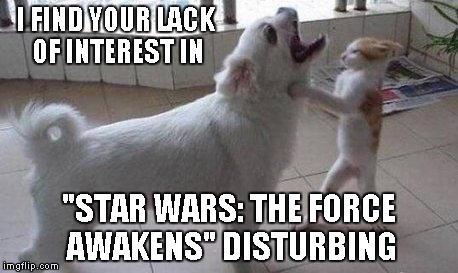 I'm just waiting for the crowds to die down...did any of you brave the crowds? | I FIND YOUR LACK OF INTEREST IN "STAR WARS: THE FORCE AWAKENS" DISTURBING | image tagged in dog vs cat,funny animalas,memes,funny,dog,cat | made w/ Imgflip meme maker